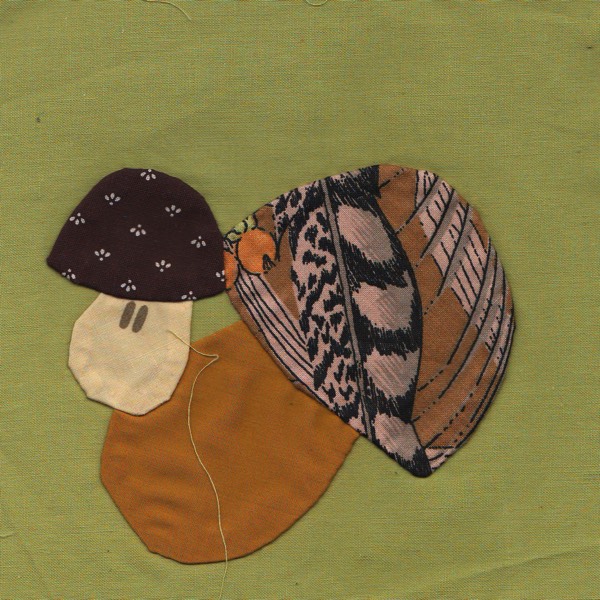 Searching for Latvian mushrooms