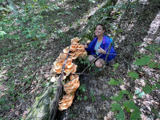 Larisa with a big pile of chicken of the woods (Sulphur shelf, Laetiporus sulphureus). Raccoon Township, Pennsylvania.