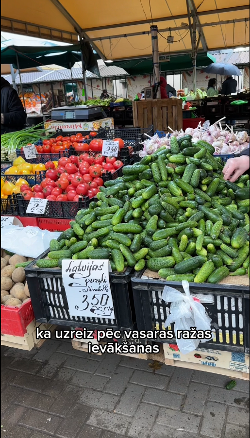 Liene pickles cucumbers