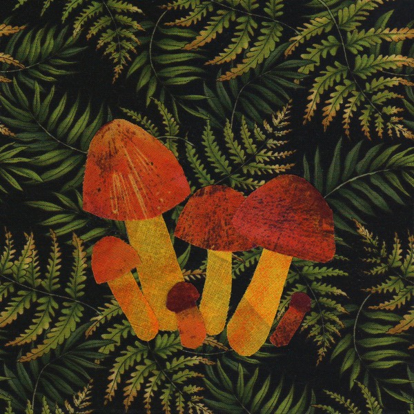 Little Māra went into the forest…