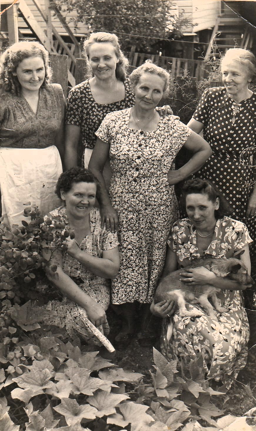 Women from three Latvian families in front of their shared residence in Brisbane, around 1951. The families lived together for five years, until they had saved enough money to purchase three adjacent plots of land farther from the city center. the families not only lived in close proximity, The families also shared homebaked Latvian rye bread. Front row, from left: Anna Kūla, Olga Kaluma. Back row, from left: Lilija Kūla, Rita Ozoliņa, Alma Lindemane, Mrs. Krauja.